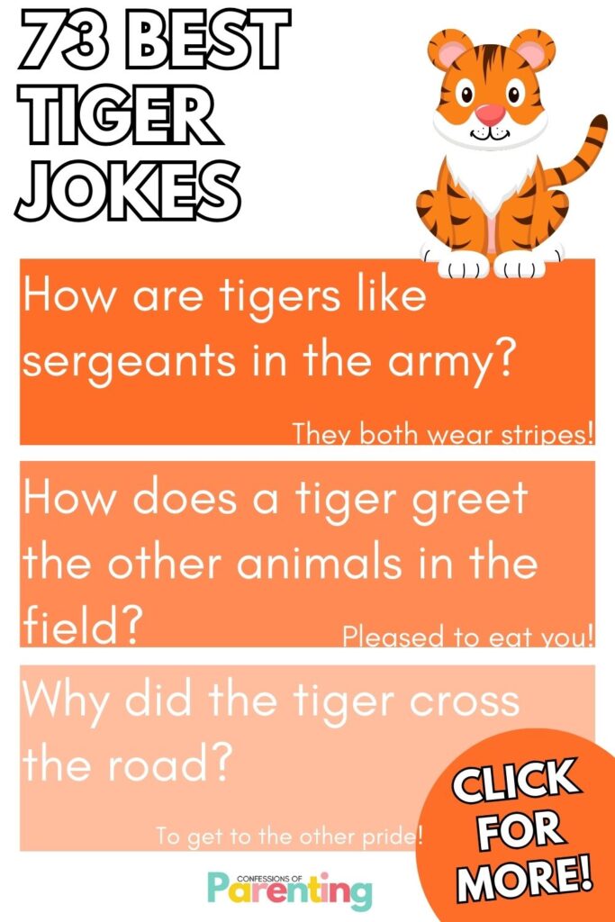 White block letters "73 best tiger jokes" with a graphic of a tiger underneath there are three orange blocks with tiger jokes and answers in each block. 