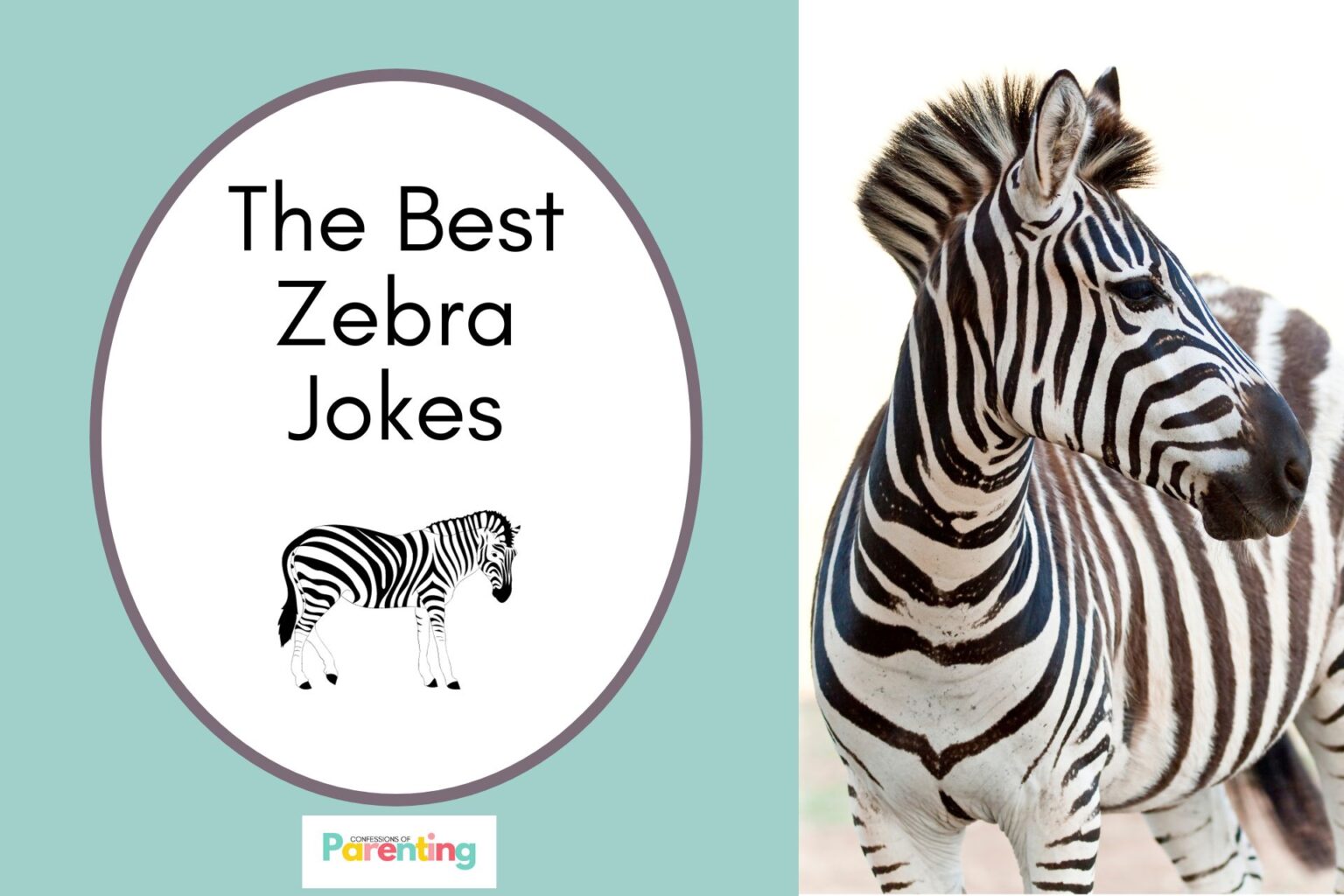 Best Zebra Jokes [Free Joke Cards]