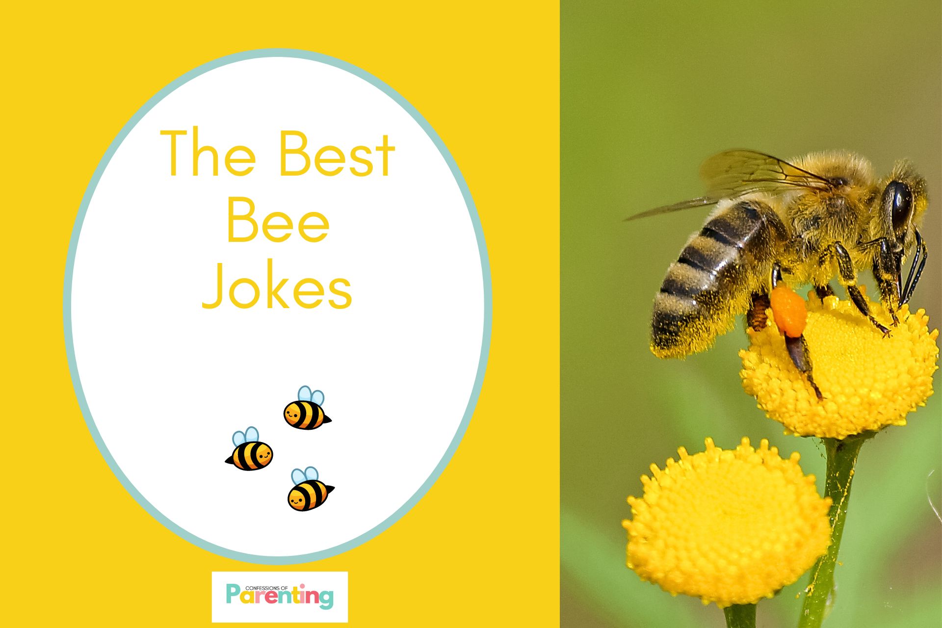 110 Best Bee Jokes That Will Get You Buzzing With Laughter [Free Joke ...