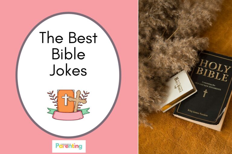 a bible and a cross on half the image with a red background on the left with a white oval with a brown border with a image of a of a holy bible and a drief leaf and brown writing "the best bible jokes"