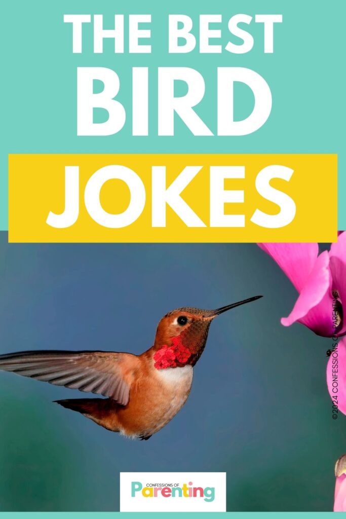 white text saying "the best back to school jokes" in green background and image of a flying bird
