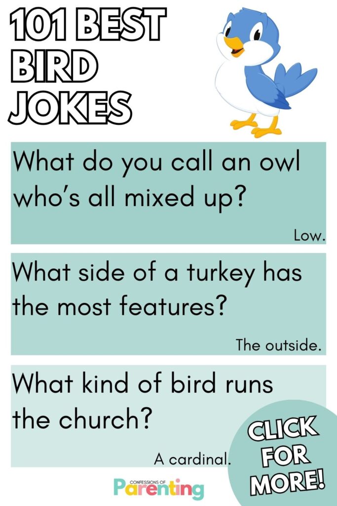 white writing "101 best bird jokes" with 3 blue squares with a bird joke and answer in each square. 
