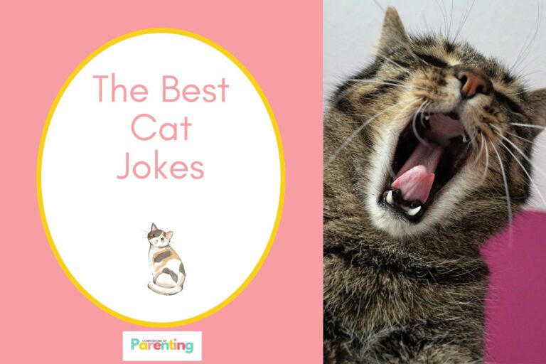 a cute yawning cat on half the image with a pink background on the left with a white oval with a yellow border with a image of a a calico cat pink writing "the best cat jokes"