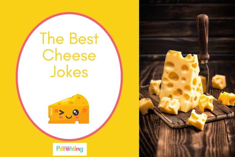cheese on a chopping board on half the image with a yellow background on the left with a white oval with a red border with a image of a cute winking cheese yellow writing "the best cheese jokes"
