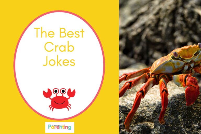 orange crab in a shallow on half the image with a yellow background on the left with a white oval with a red border with a image of a smiling cute red crab and yellow writing "the best crab jokes"