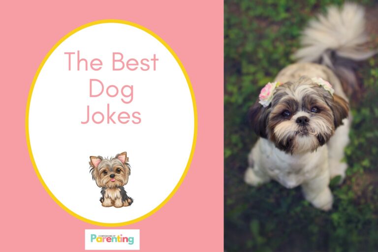 cute shih tzu wearing a ribbon on both earson half the image with a pink background on the left with a white oval with a yellow border with a image of a cute dog with pink ears pink writing "the best dog jokes"