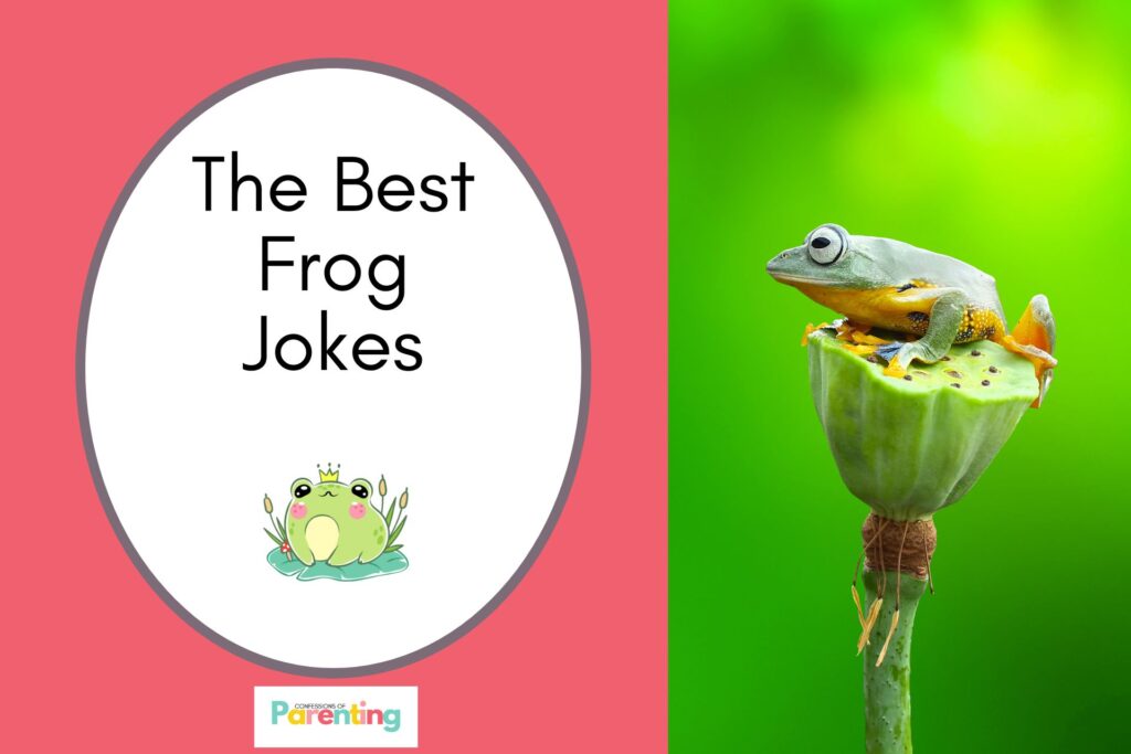 a frog on the top of a plant on half the image with a red background on the left with a white oval with a brown border with a image of a frog wearing a crown on a water lily and brown writing "the best frog jokes"