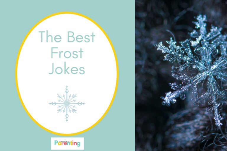 frost on half the image with a teal background on the left with a white oval with a yellow border with a image of a single snowflake and blue writing "the best frost jokes"