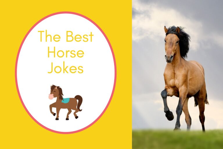 a horse running on half the image with a yellow background on the left with a white oval with a pink border with a image of a cute horse smiling a nurse heart yellow writing "the best horse jokes"