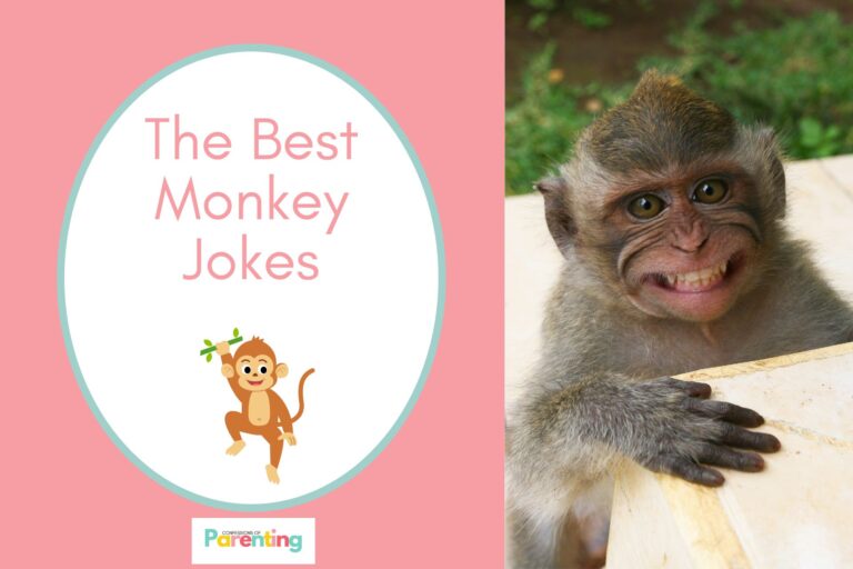 monkey smiling on half the image with a pink background on the left with a white oval with a light turquoise border with a image of a monkey hanging on a vine and pink writing "the best monkey jokes"