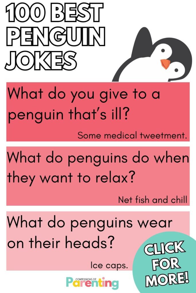pin image: 3 penguin jokes each in a pink bow with answer with white text "100 best penguin jokes" graphic of penguin
