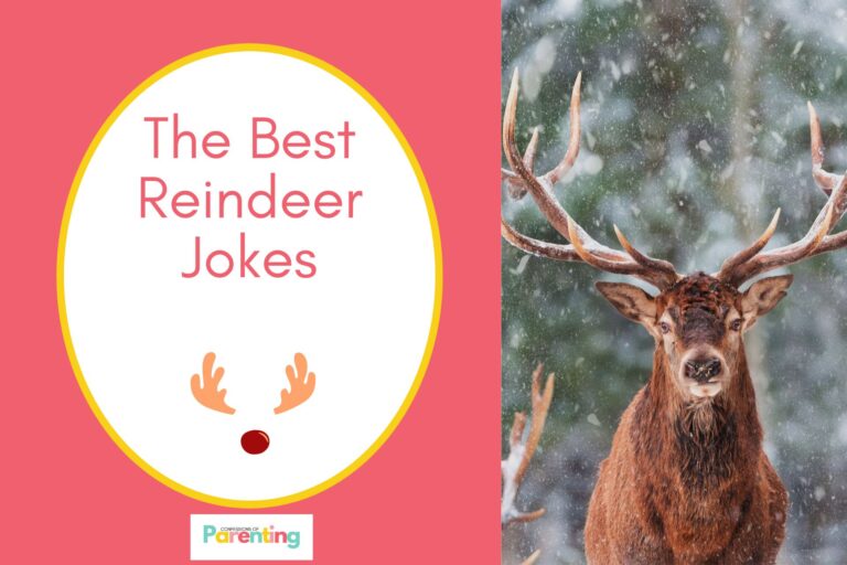 a reindeer in forest on half the image with a red background on the left with a white oval with a yellow border with a image of an antlers and red nose red writing "the best reindeer jokes"