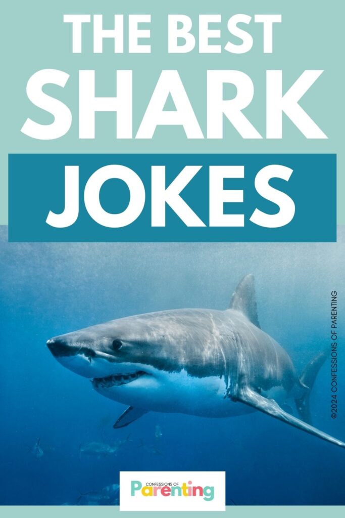 white text saying the best shark  jokes in blue background with an image of a shark
