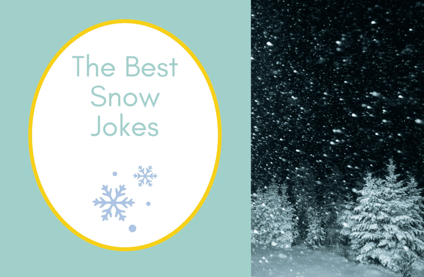 a forest full of snow on half the image with a blue background on the left with a white oval with a yellow border with a image of a snowflakes blue writing "the best snow jokes"