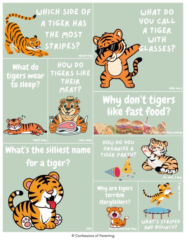 Cartoon tiger jokes collage with cute tigers, party hat, meat, and trampoline showing funny tiger puns and animal humor on green background ima