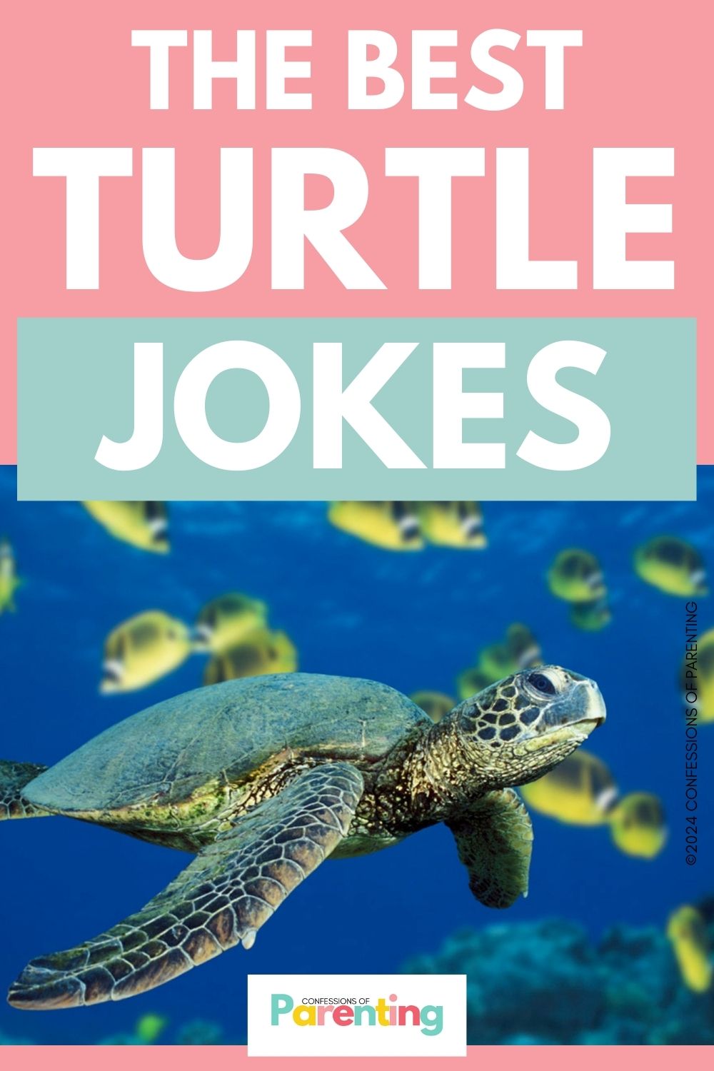 70 Toadly Awesome Turtle Jokes For Kids