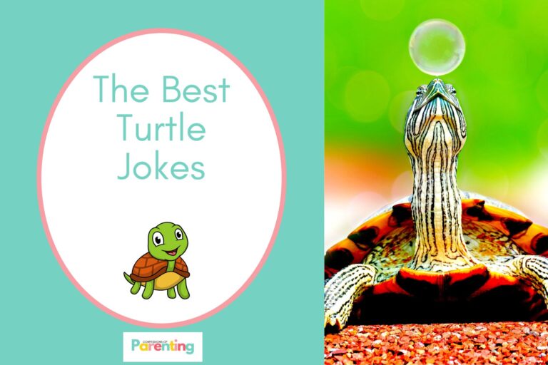 a turtle touching bubble with nose on half the image with a light turquoise background on the left with a white oval with a pink border with a image of a smiling cute turtle and light turquoise writing "the best turtle jokes"