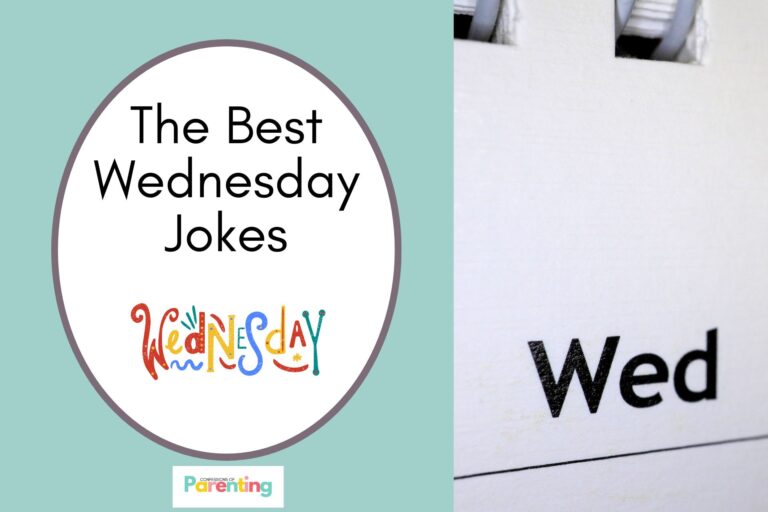a wed on a calendar on half the image with a blue background on the left with a white oval with a brown border with a image of a text of "WednesdaY" and brown writing "the best wednesday jokes"