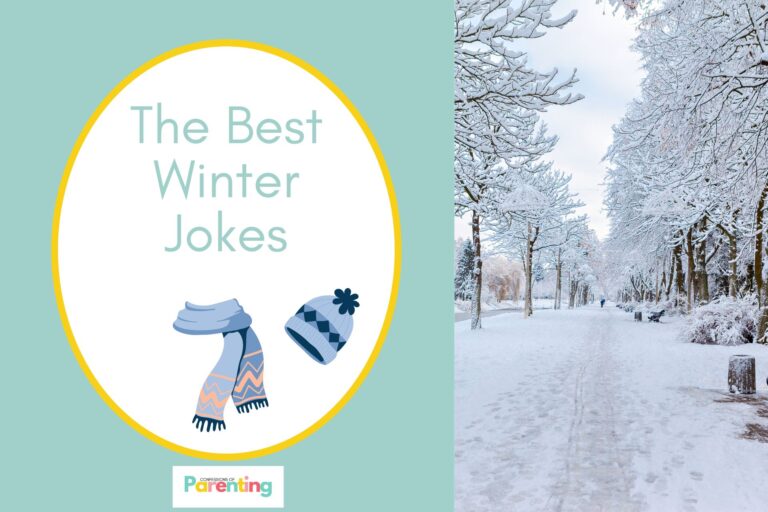 a park covered in snow paper on half the image with a light blue background on the left with a white oval with a yellow border with a image of a scarf and a winter hat light blue writing "the best winter jokes"