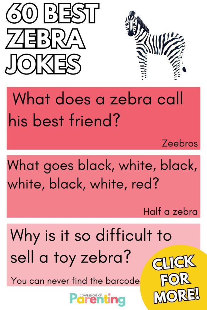 White background with black outlined block letters "60 Best Zebra Jokes". There are 3 pink boxes with a zebra joke in each box.