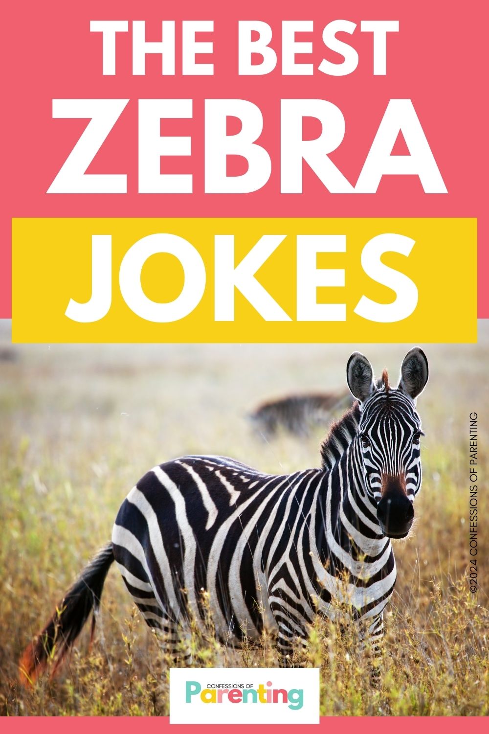 Best Zebra Jokes [Free Joke Cards]