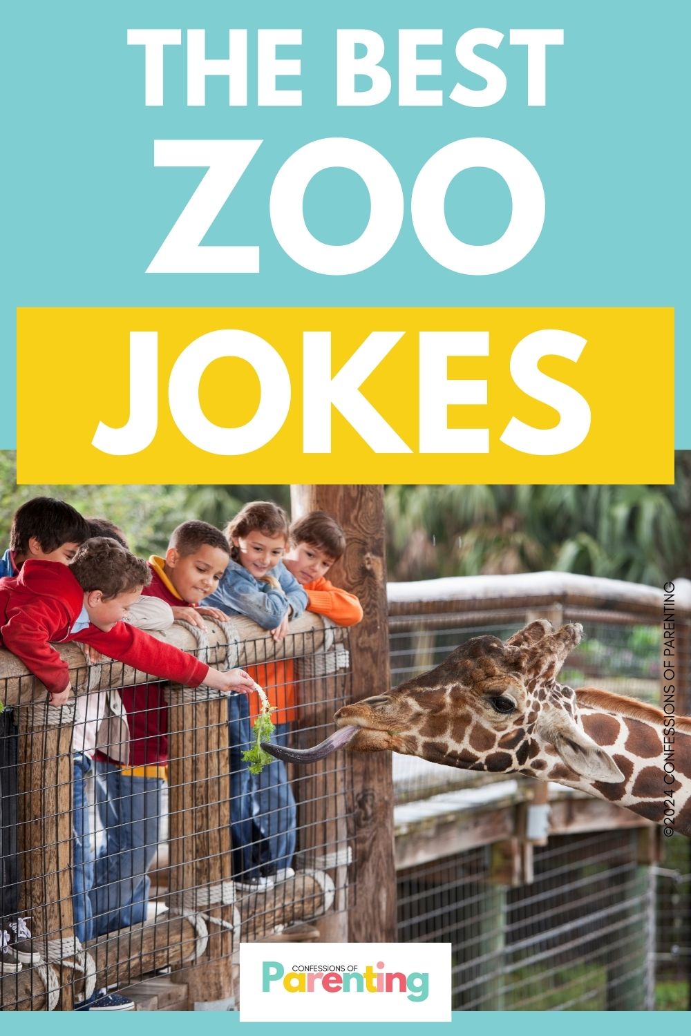 100+ Zoo-rific Zoo Jokes [Free Joke Cards]