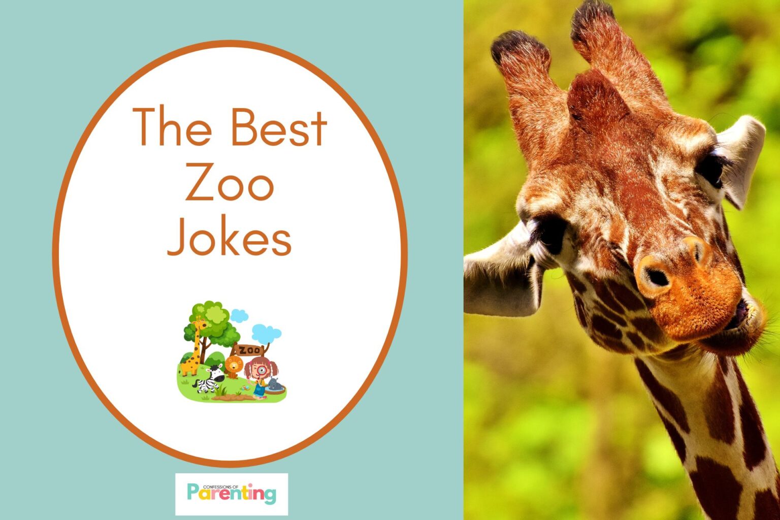 100+ Zoo-rific Zoo Jokes [Free Joke Cards]