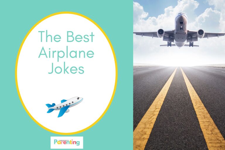 an aircraft flying above the highway on half the image with a light turquoise background on the left with a white oval with yellow border with a image of a airplane and light turquoise writing "the best airplane jokes"