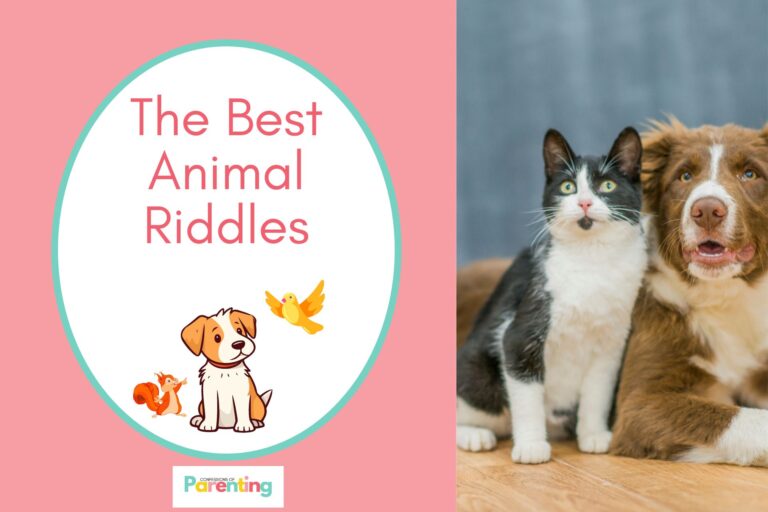 cat and dog on half the image with pink background on the left with a white oval with teal border with a image of a bird, dog and a squirrel and red writing " the best animal riddles"