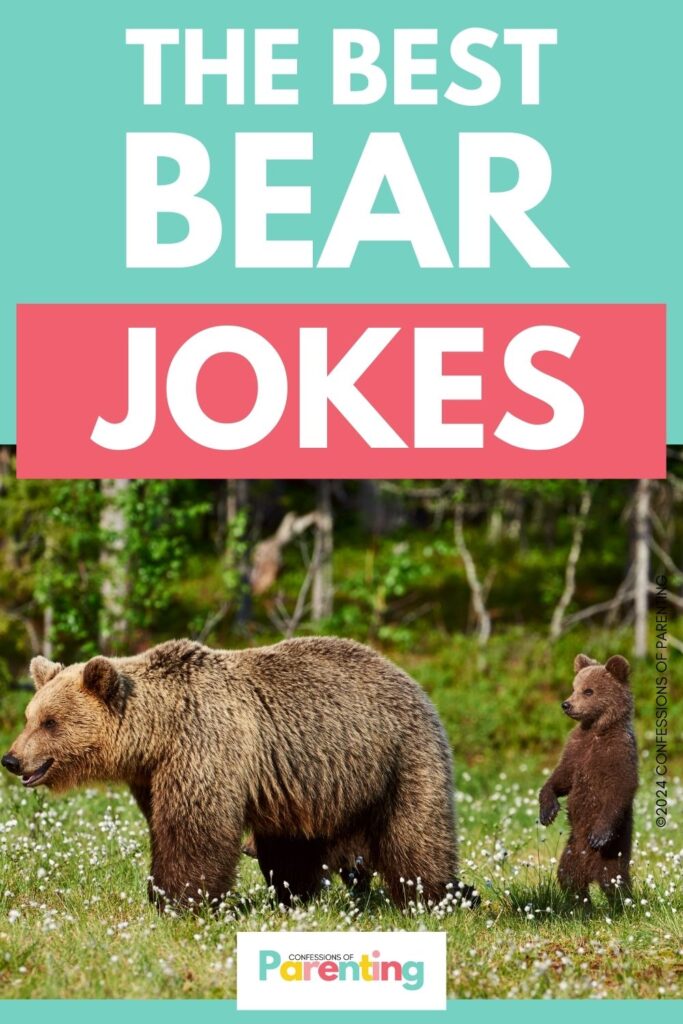 white text saying the best bear jokes in teal background with a picture of a mom bear and a cub
