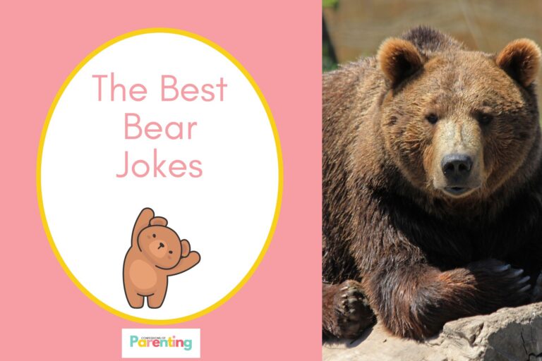 grizzly bea on half the image with a pink background on the left with a white oval with yellow border with a image of a cute bear and pink writing "the best bear jokes"