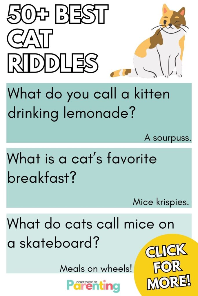 white writing "50+ best lcat riddles" with 3 teal squares with a best cat riddles and answer in each square. 
