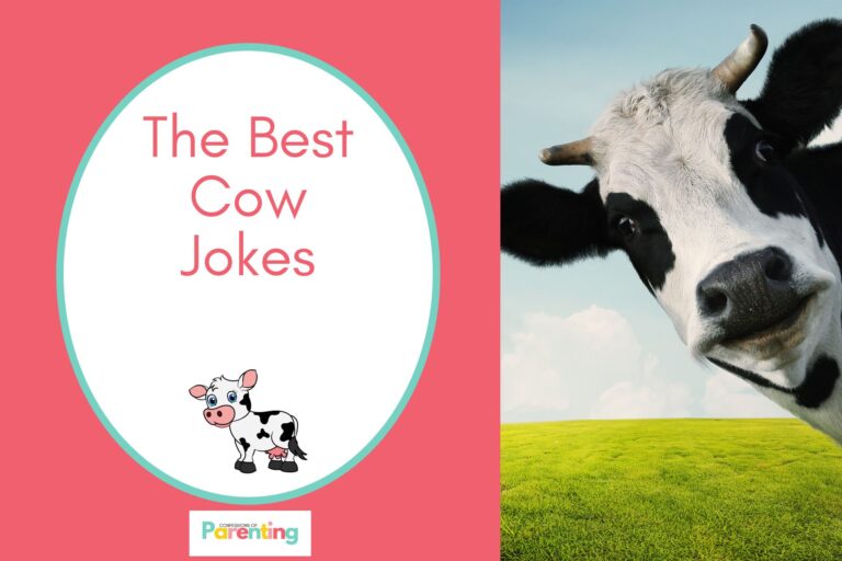 a curiuous cow on half the image with a red background on the left with a white oval with teal border with a image of a cute calf and red writing "the best cow jokes"