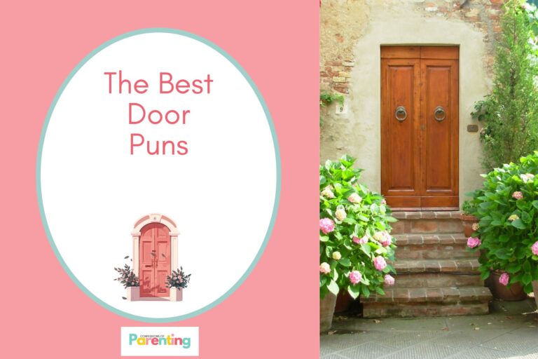 brown door on half the image with pink background on the left with a white oval with teal border with a image of a cute pink door with flowers on side and red writing " the best door puns"