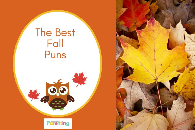 dried leaves on half the image with dark orange background on the left with a white oval with orange border with a image of owl and leaves and brown writing " the best fall puns"