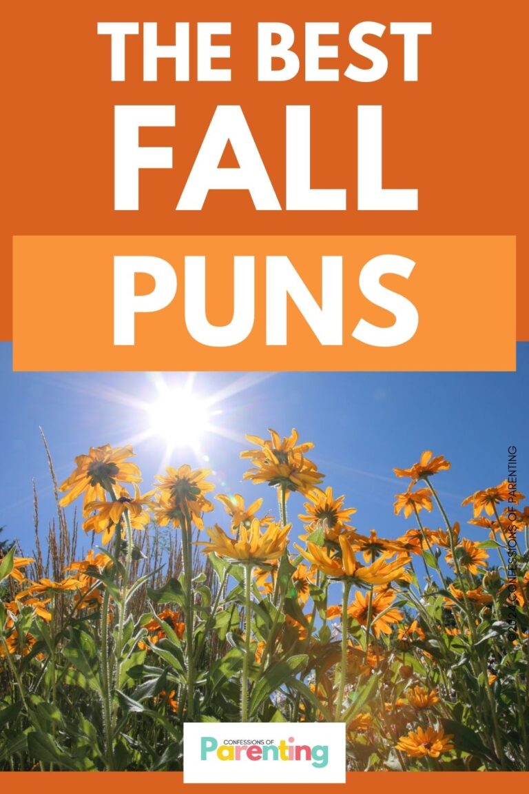 Best Fall Puns – 90+ Funny & Cute Autumn Puns