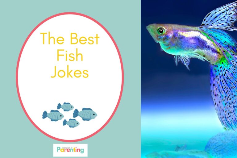 fish in the aquarium on half the image with a teal background on the left with a white oval with red border with a image of flat map skills schools of fish and yellow writing "the best fish jokes"