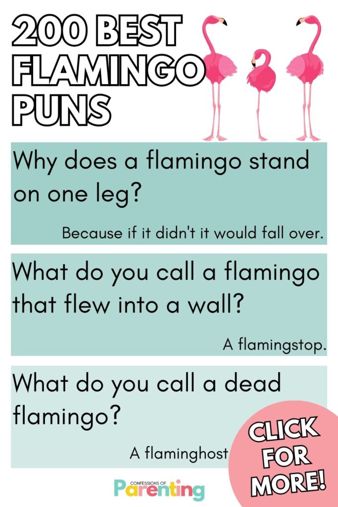 white writing "200 best flamingo puns" with 3 teal squares with a best flamingo puns and answer in each square. 
