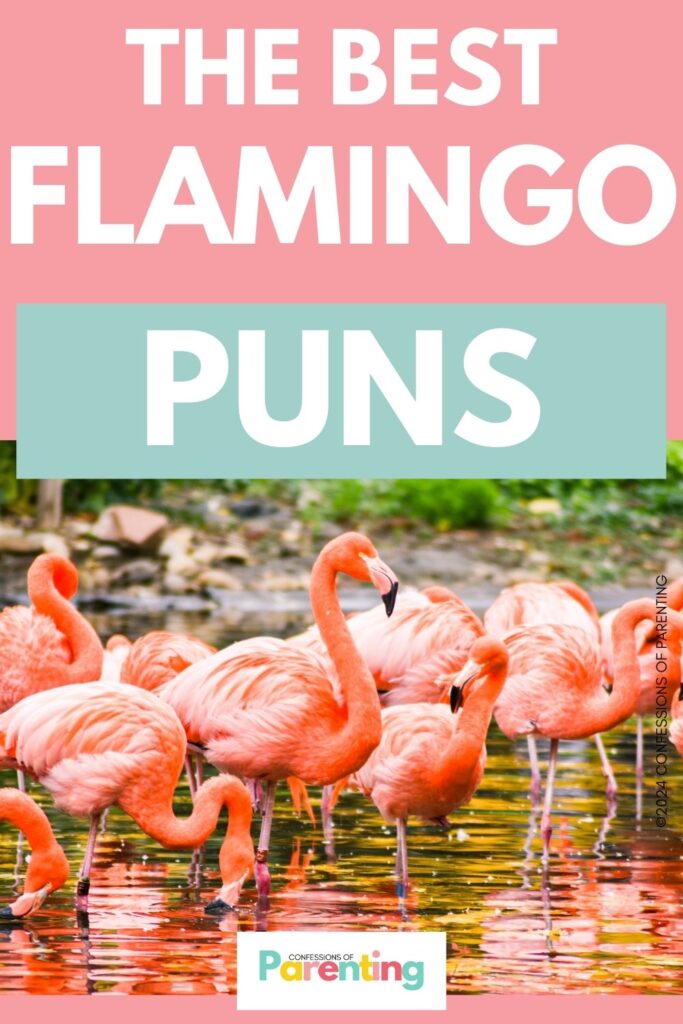 white text saying the best flamingo puns in pink background with an image of  group of flamingos
