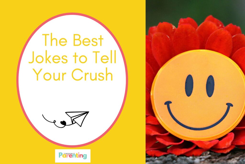 a smiley on a flower on half the image with a yellow background on the left with a white oval with red border with a image of a plane with a heart and yellow writing "the best jokes to tell your crush"