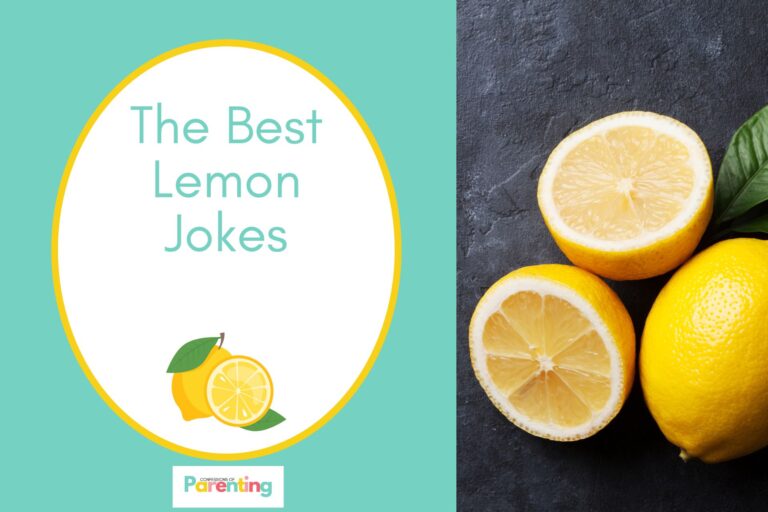 a fresh lemons on half the image with a teal background on the left with a white oval with yellow border with a image of a fruit and teal writing "the best lemon jokes"