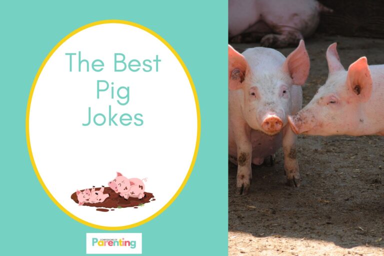 two little pigs with mud on body on half the image with a teal background on the left with a white oval with yellow border with a image of a two pigs playing in a muddy puddle and teal writing "the best pig jokes"two little pigs with mud on body on half the image with a teal background on the left with a white oval with yellow border with a image of a two pigs playing in a muddy puddle and teal writing "the best pig jokes"