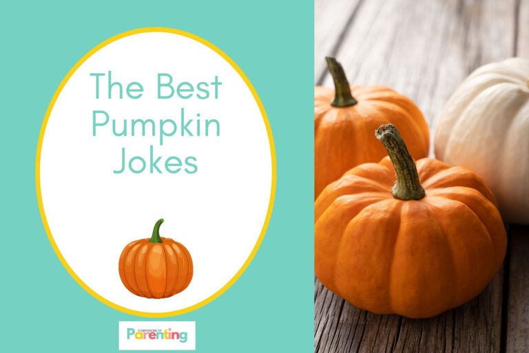 an orange and white pumpkin on half the image with a teal background on the left with a white oval with yellow border with a image of an orange pumpkin and red writing "the best pumpkin jokes"