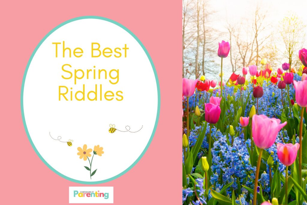 spring flowers on half the image with a pink background on the left with a white oval with teal border with a image of yellower flower and flying bees and yellow writing "the best spring riddles"