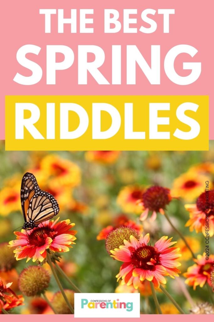 white text saying the best spring riddles in pink background with an image of spring flowers and a butterfly
