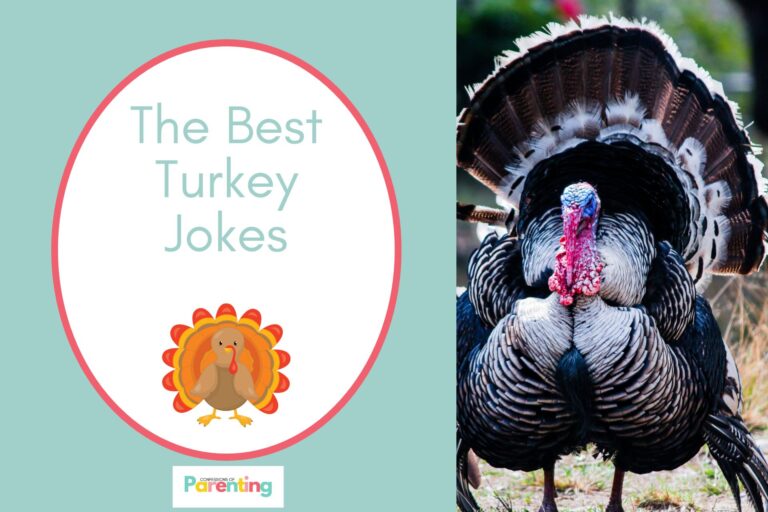 a wild turkey on half the image with a teal background on the left with a white oval with red border with a image of a brown turkey and teal writing "the best turkey jokes"