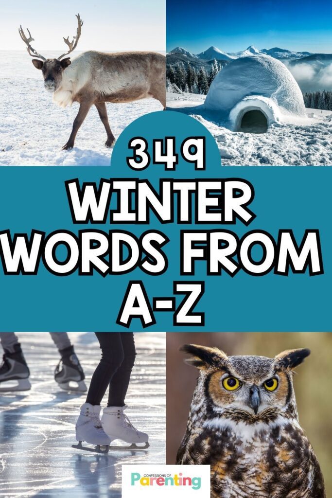 In the middle is a blue boarder with white lettering saying "349 winter words from a-z" then above and below the lettering are two pictures of winter items. 