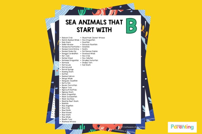 featured image of Sea Animals That Start With B in yellow background