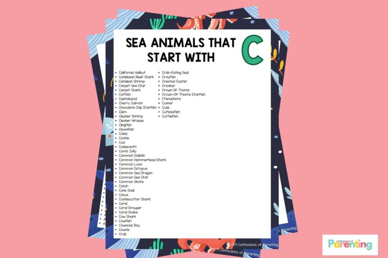 featured image of Sea Animals That Start With C in pink background