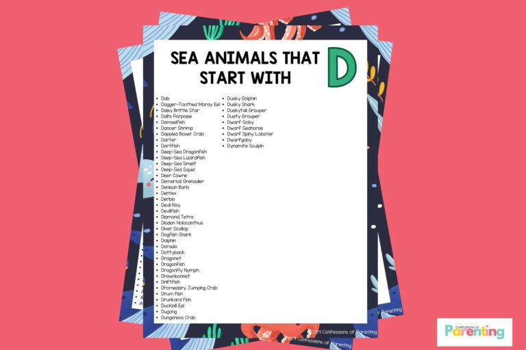 featured image of Sea Animals That Start With D in pink background